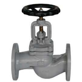 467002/01 / Globe Valve