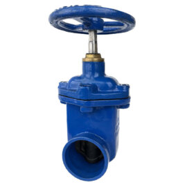 620302-K10 / Gate Valve