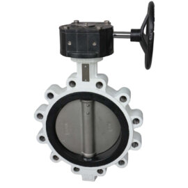 713901 / Butterfly Valve