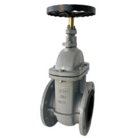 620101 / Gate Valve