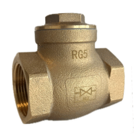 304222 / Swing Check Valve