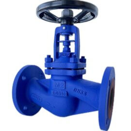 467062-BS / Globe Valve
