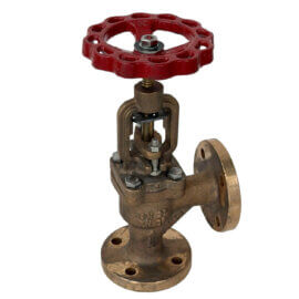 458922 / Globe Valve
