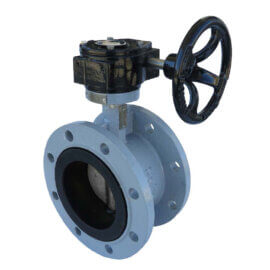 781901 / Butterfly Valve