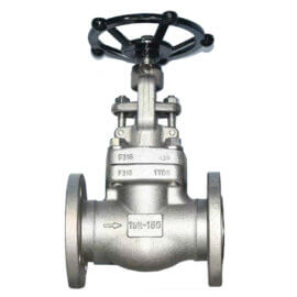 467097 / Globe Valve
